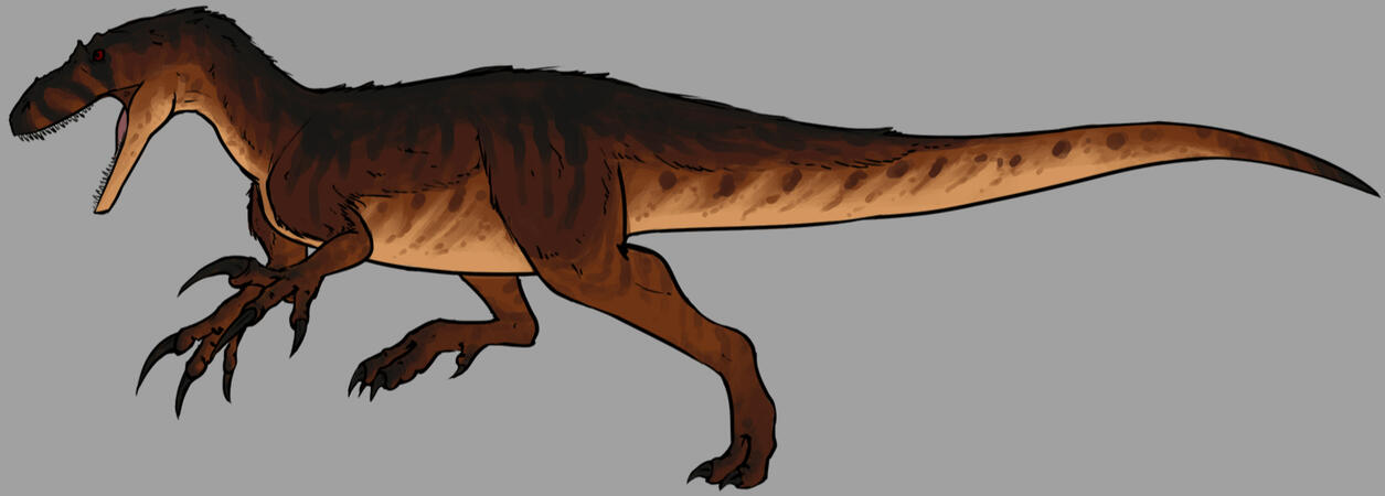 Random Australovenator